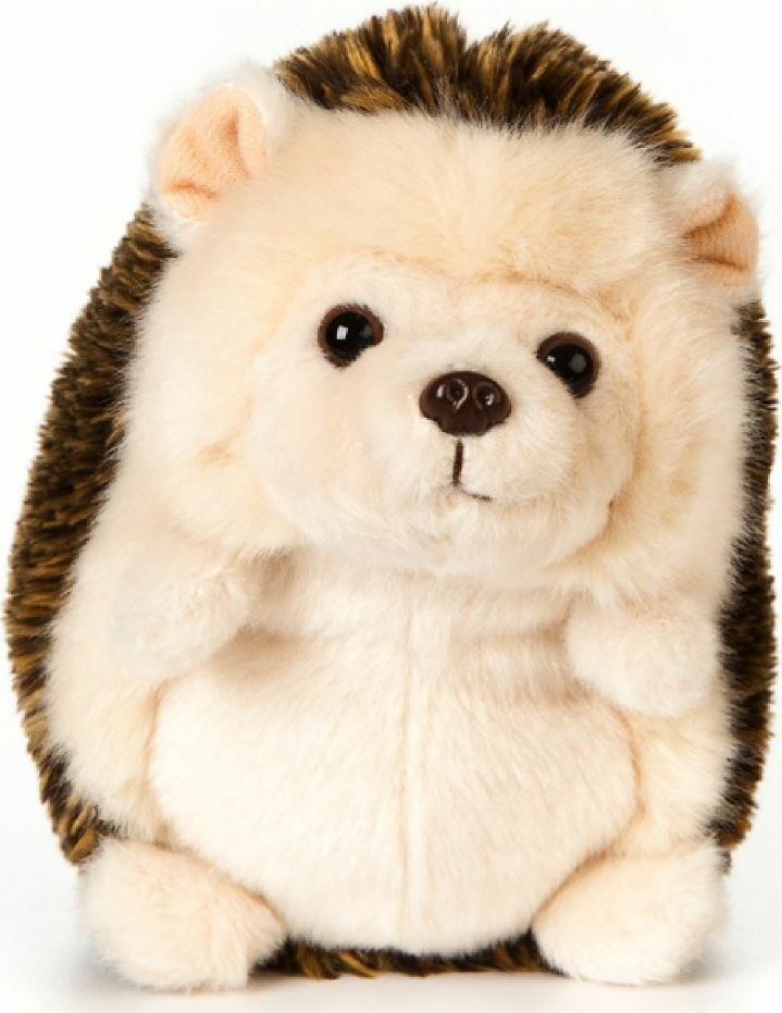 Hedgehog Sitting