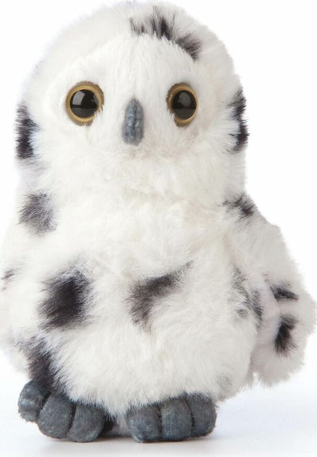 SMOLS Snowy Owl