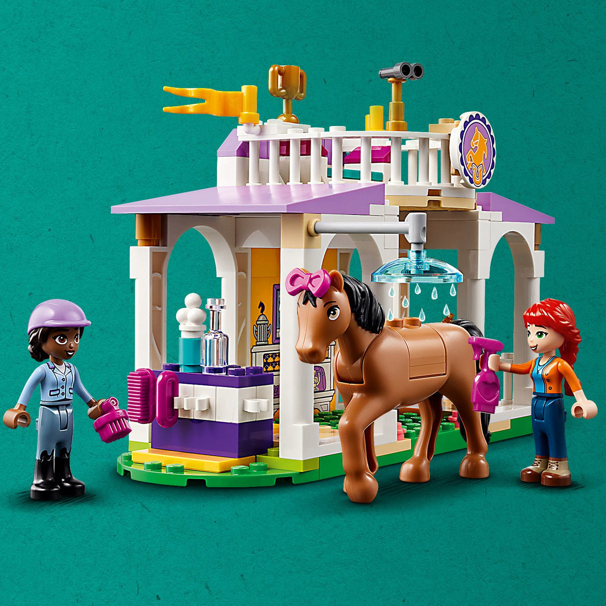 LEGO Friends Horse Training Set with Toy Pony