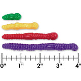 Measuring Worms Set of 72