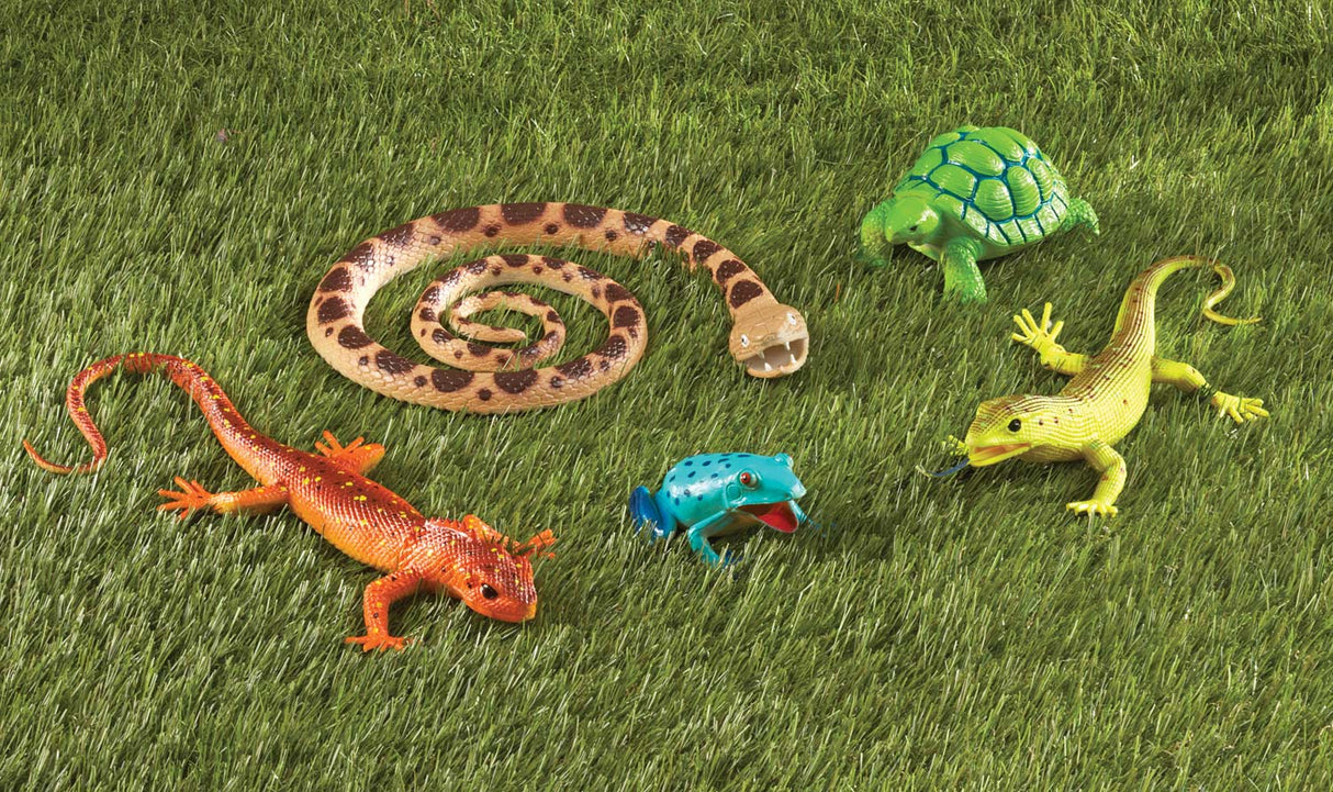 Jumbo Reptiles & Amphibians