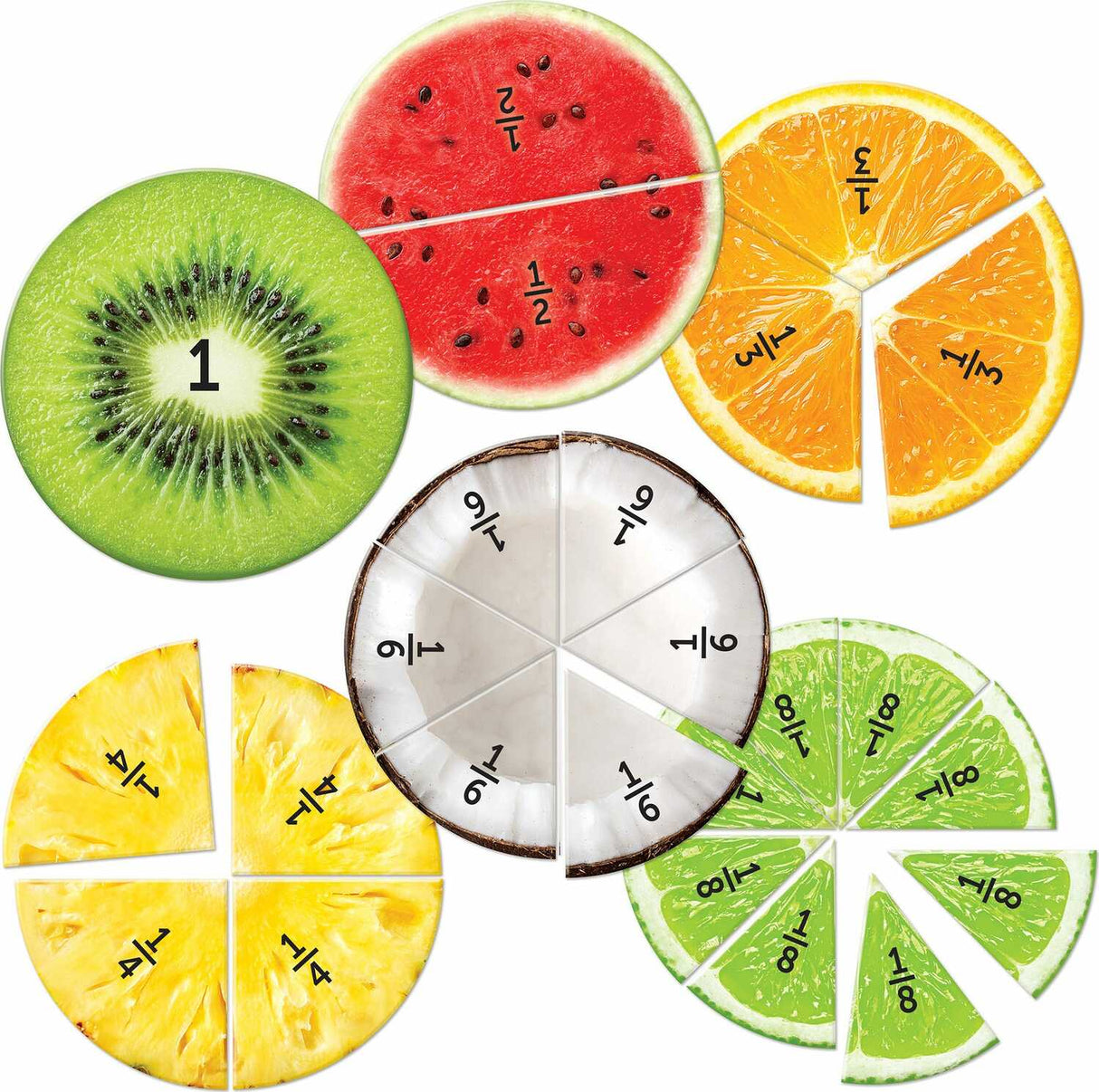 Magnetic Fruit Fractions