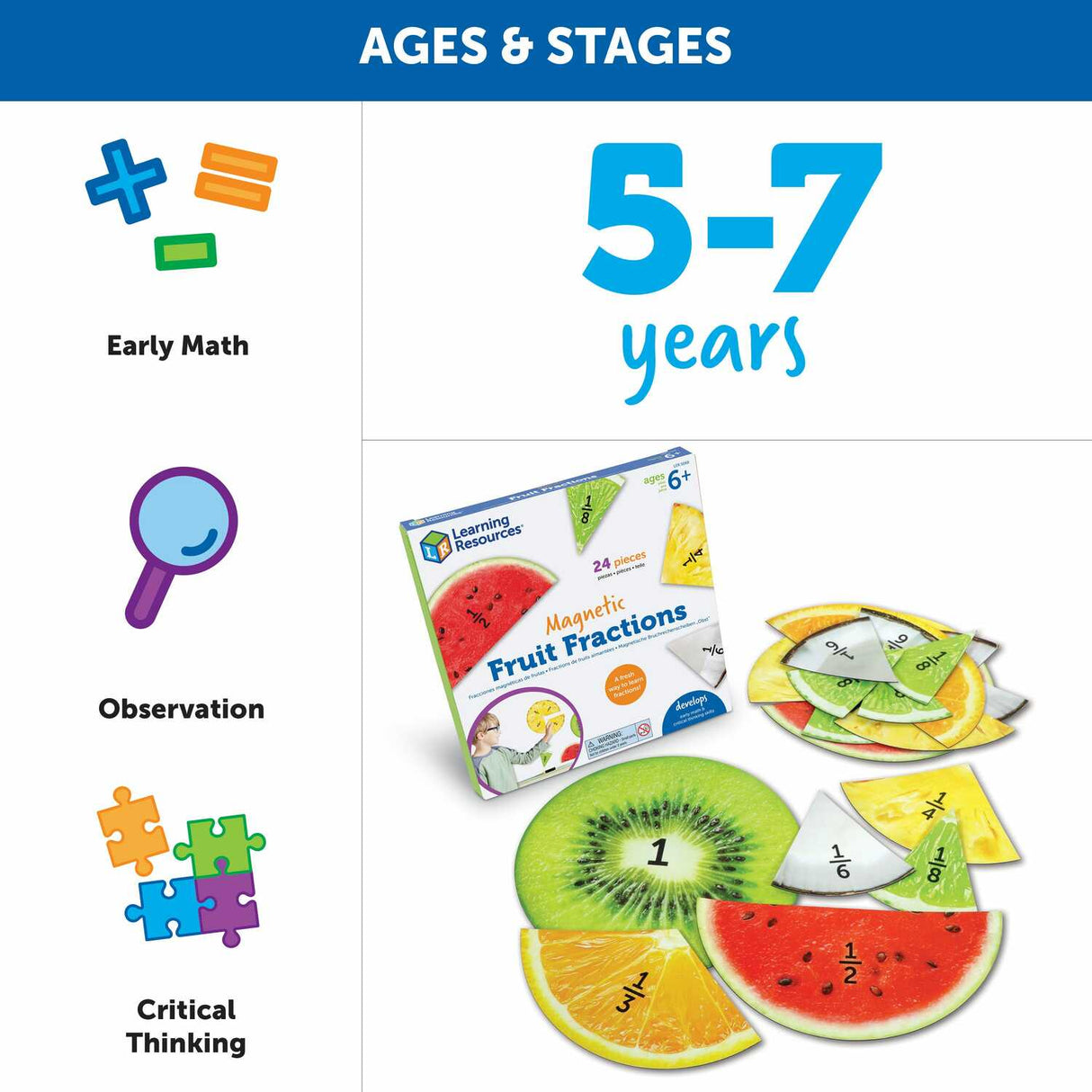 Magnetic Fruit Fractions