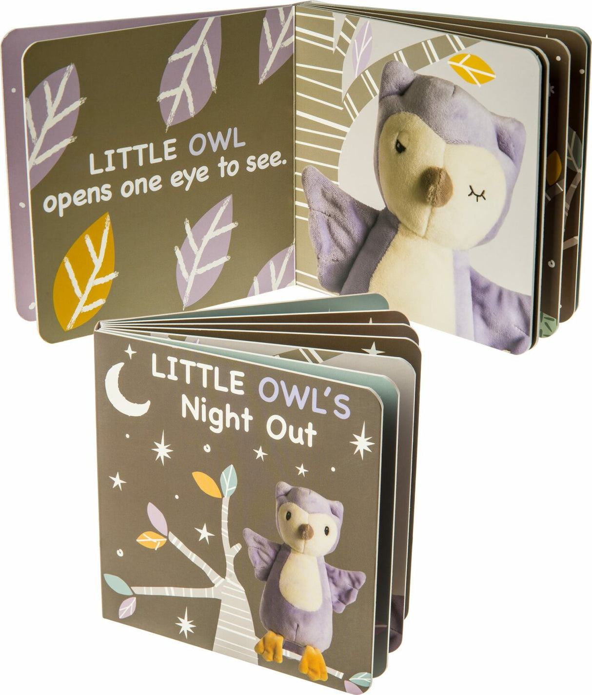 Leika Little Owl Board Book - 6X6"