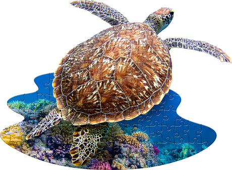 Madd Capp Puzzle Jr. - I Am Lil Sea Turtle