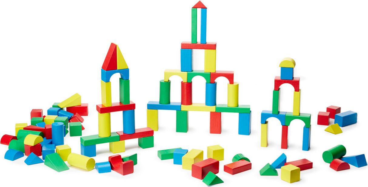 100 Piece Wood Blocks Set