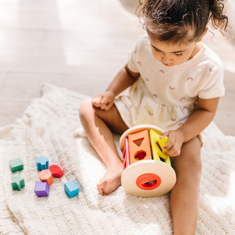 Match & Roll Shape Sorter