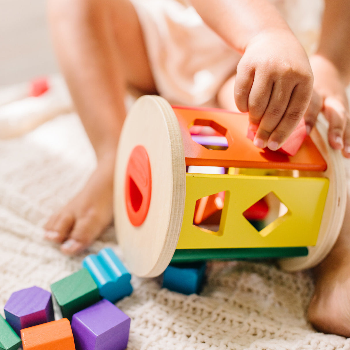 Match & Roll Shape Sorter