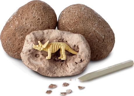 Dig It Up! Dinosaur Skeletons