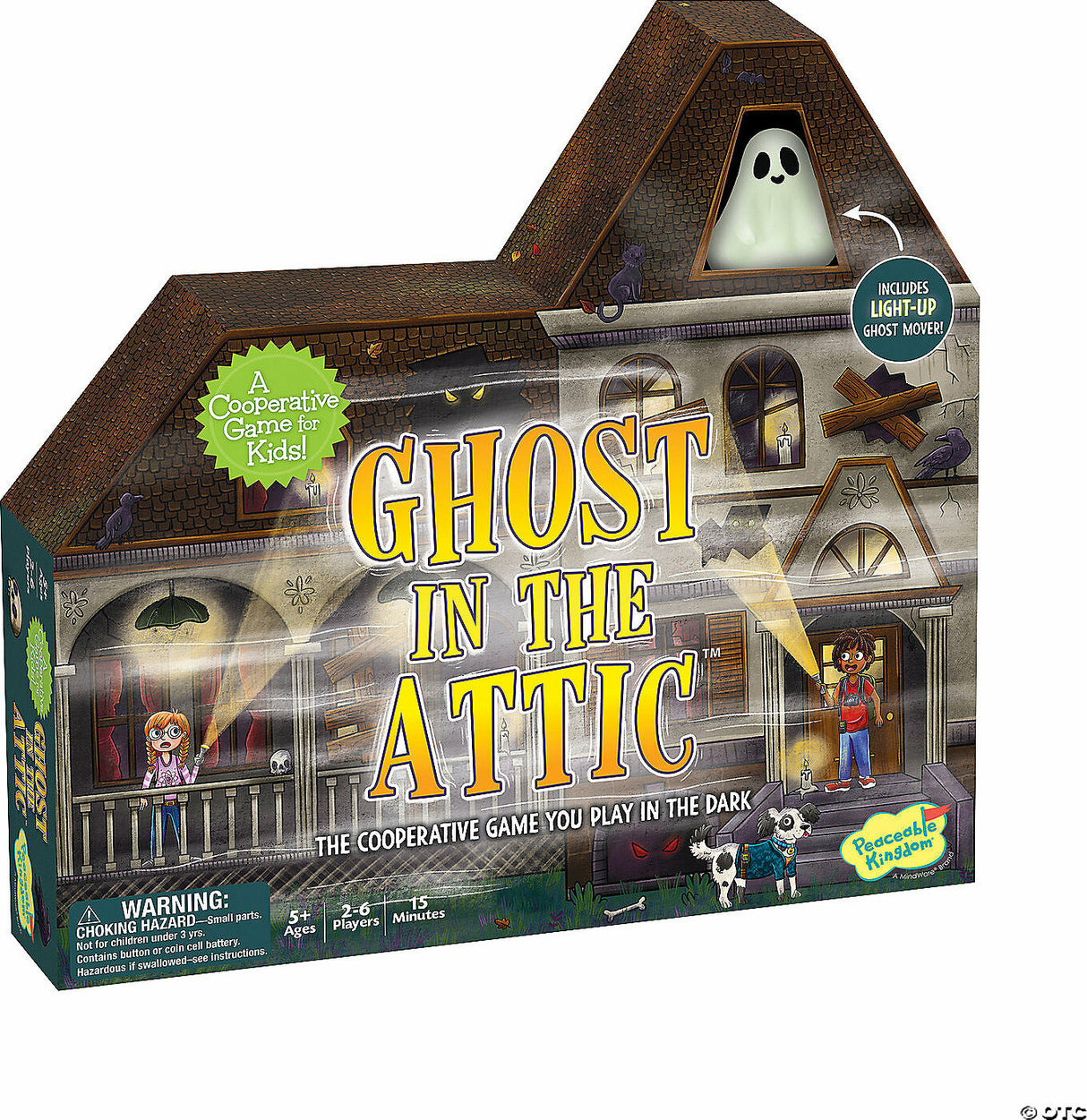 Ghost in the Attic Cooperative Game