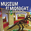 Museum at Midnight Seek and Find Glow Puzzle