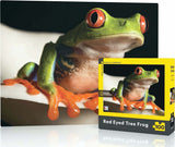 Red-Eyed Tree Frog Mini Mini Puzzle (100 Pc)