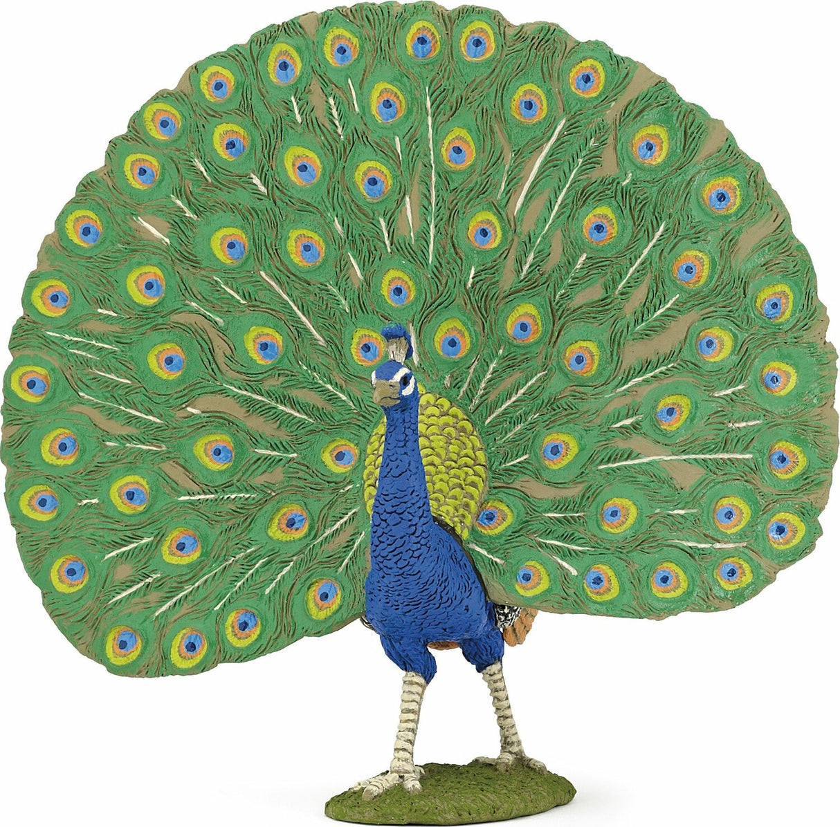 Peafowl