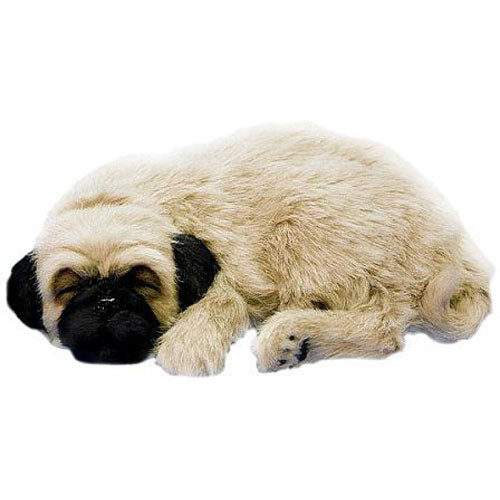 Perfect Petzzz XP91-09 Huggable Pug Puppy