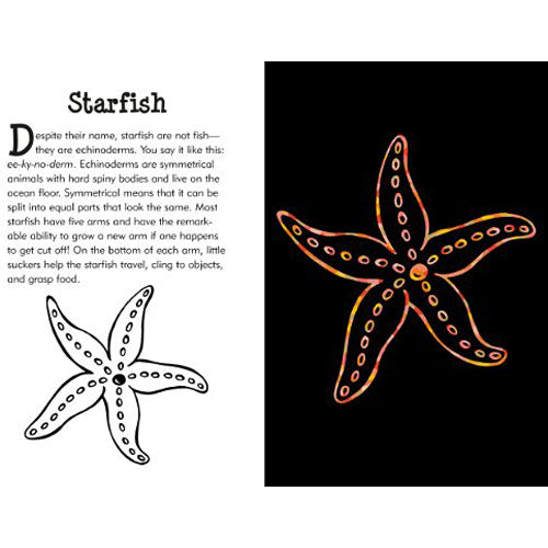 Under the Sea Scratch and Sketch: An Art Activity Book for Imaginative Artists of All Ages (Scratch & Sketch)