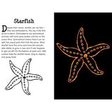 Under the Sea Scratch and Sketch: An Art Activity Book for Imaginative Artists of All Ages (Scratch & Sketch)