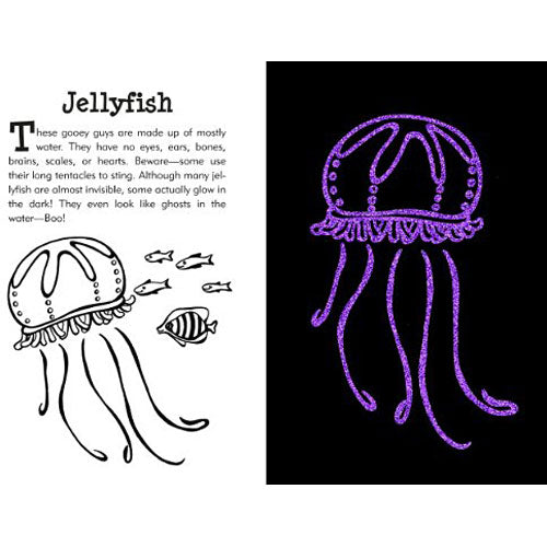 Under the Sea Scratch and Sketch: An Art Activity Book for Imaginative Artists of All Ages (Scratch & Sketch)