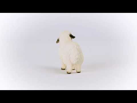 Valais Blacknose Sheep