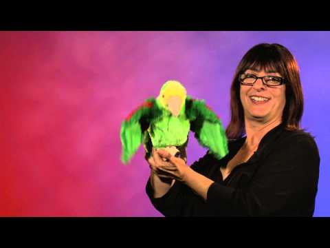 Parrot, Amazon Hand Puppet