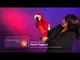 Macaw, Scarlet Hand Puppet