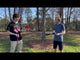 Tie-Dye Juggle Sticks