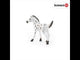 Knapstrupper Foal