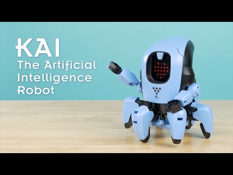 KAI: The Artificial Intelligence Robot