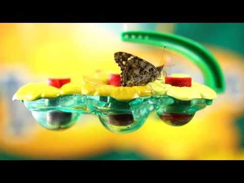 Butterfly Feeder