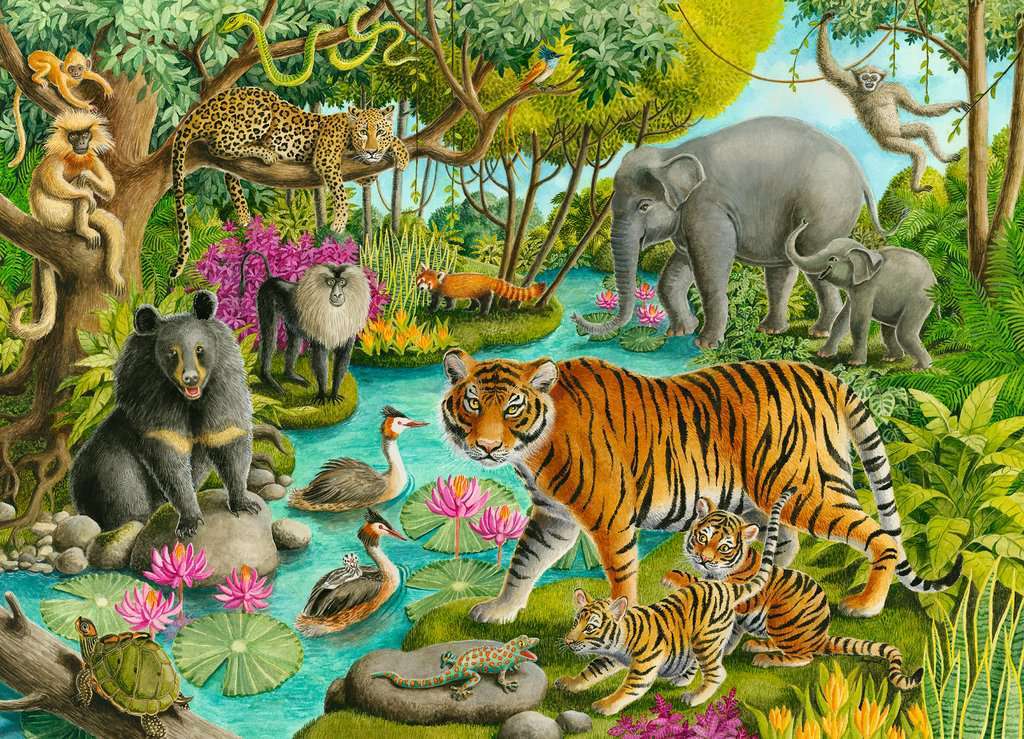 Animals Of India - 60 Piece