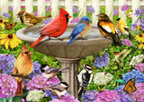 At The Birdbath