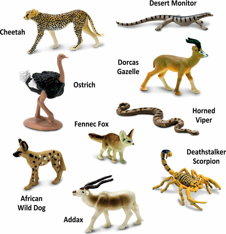 Sahara Desert Animals TOOB