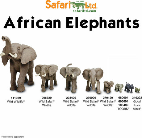 South African Animals TOOB®