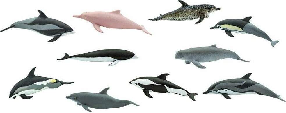 Dolphins TOOB® – School Crossing