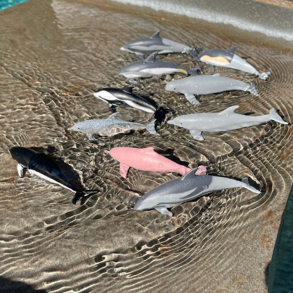 Dolphin様 リクエスト 2点 まとめ商品 Inflatable Gray Dolphin 36 inches head to tail | eBay