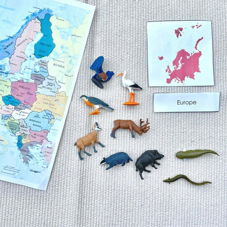 European Animals