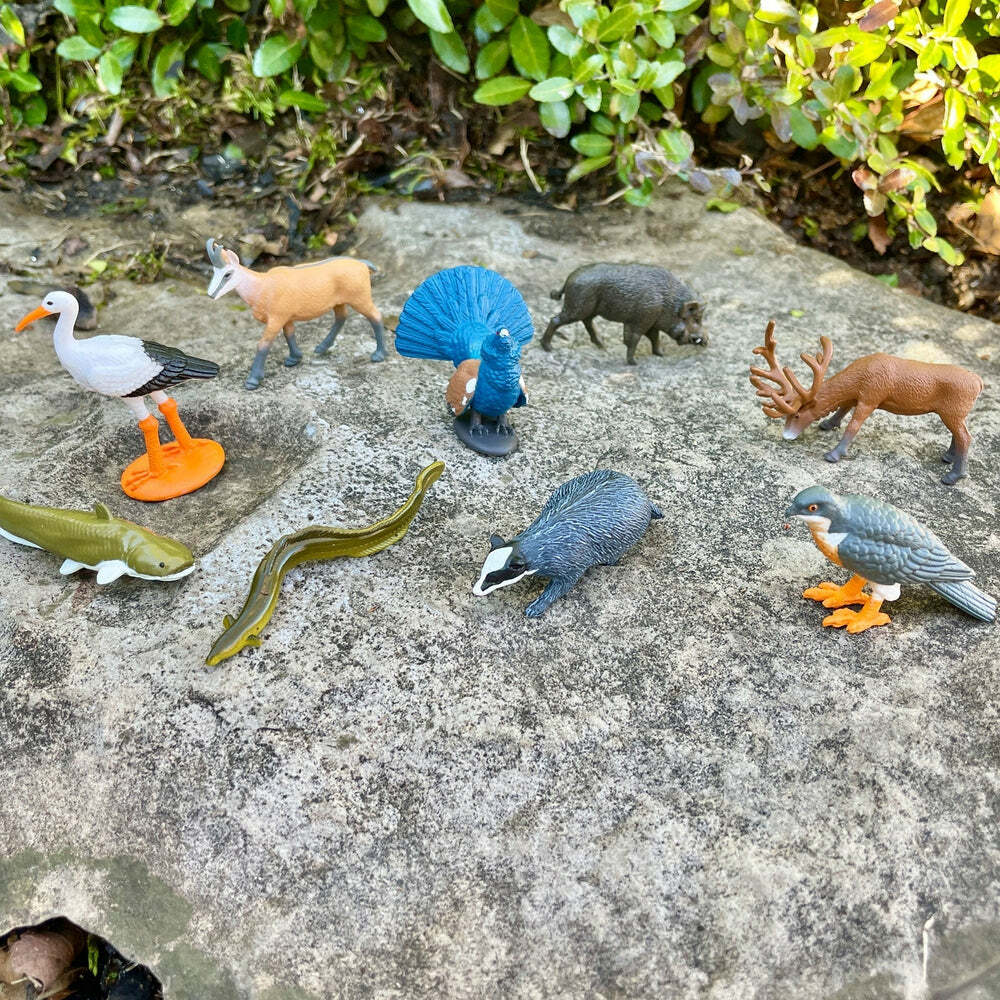 European Animals