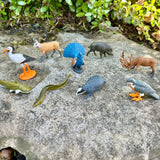 European Animals
