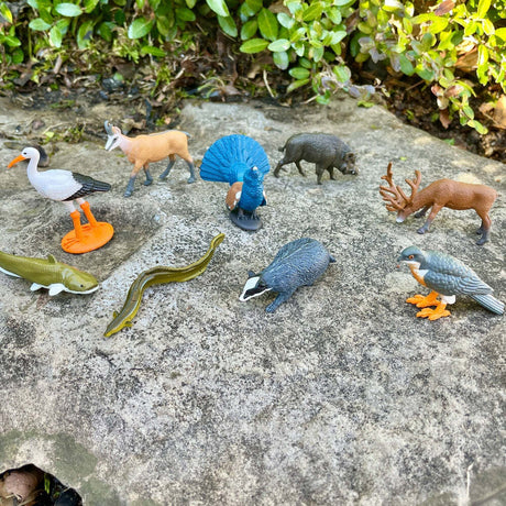 European Animals