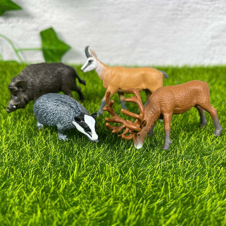 European Animals