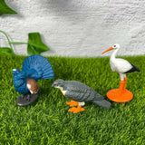 European Animals
