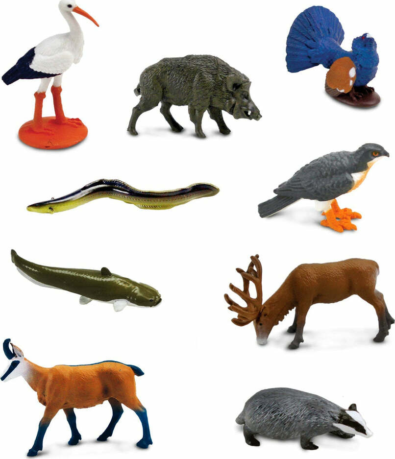 European Animals