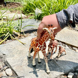 Reticulated Giraffe Toy