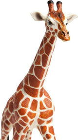 Reticulated Giraffe Toy