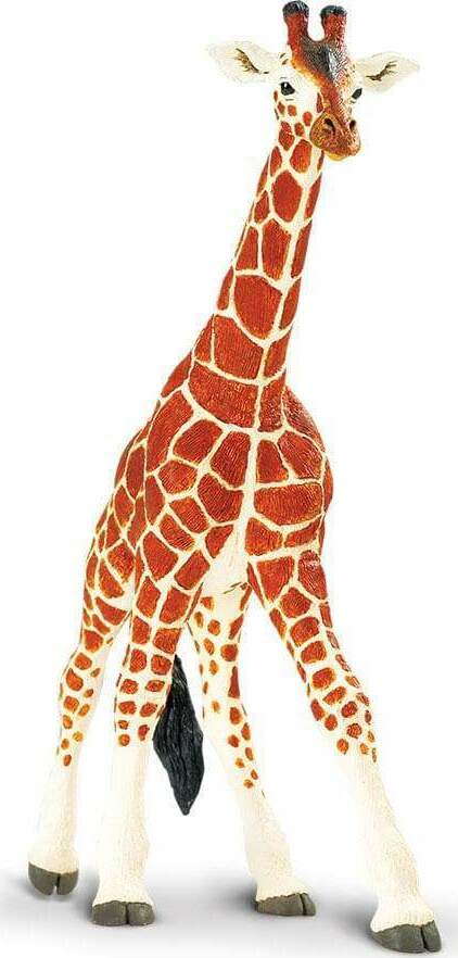 Reticulated Giraffe Toy