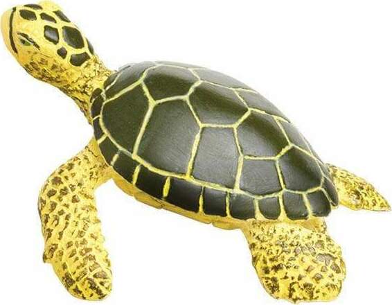 Green Sea Turtle Baby Toy