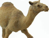 Dromedary Camel Toy