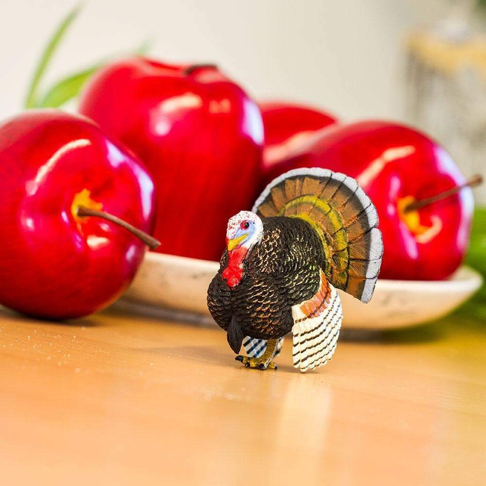 Turkey Toy