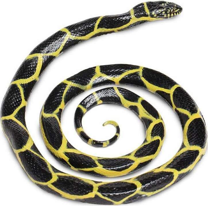 Chain Kingsnake Toy