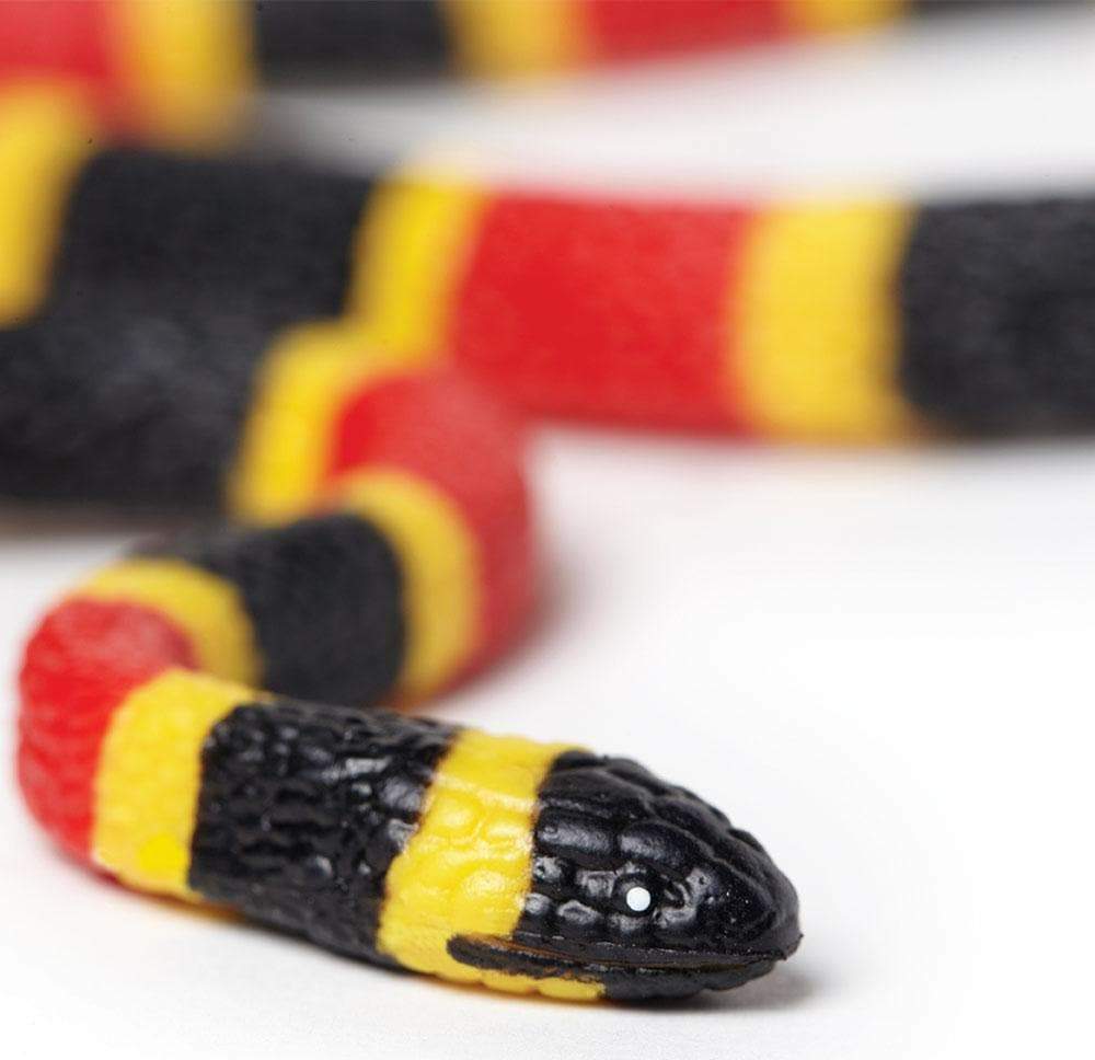 Coral Snake Baby Toy