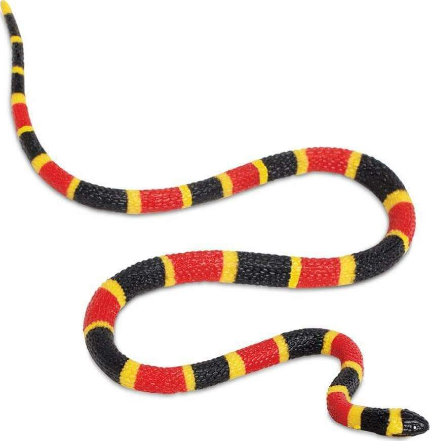 Coral Snake Baby Toy